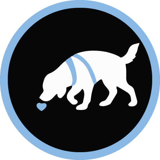 Munich Dog Trainer