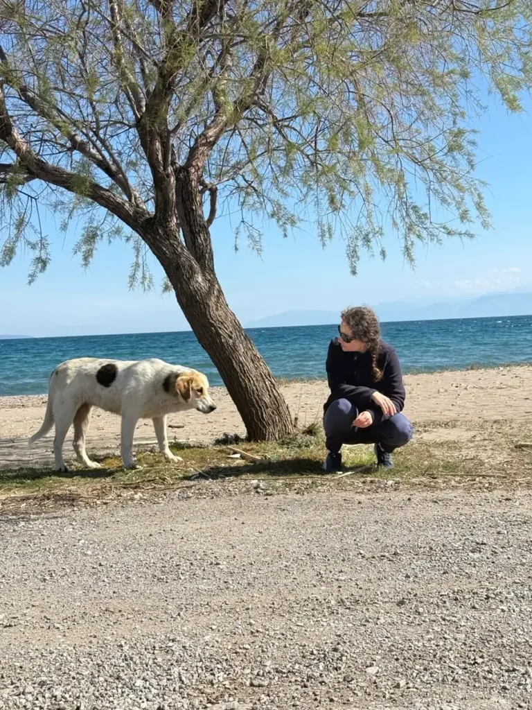 Victoria Dreyer meeting a dog on the beach calmly and without pressure